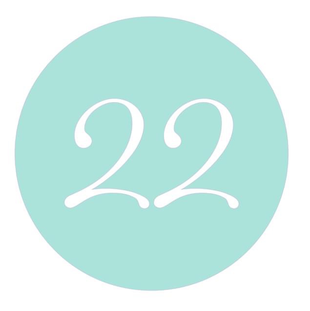 22 by Bogaspaccio